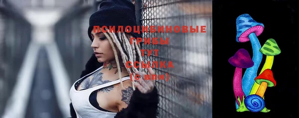 дживик Ладушкин